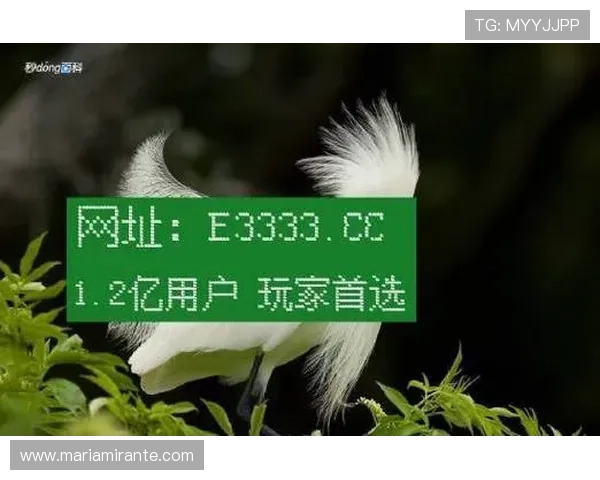 凯时的网址最新入口，安全稳定的官方登录地址推荐