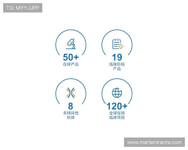 尊龙凯时z6最新版操作界面优化，提升用户使用体验与便捷性