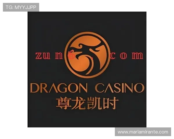 尊龙时凯官网入口：详细介绍官方入口的访问方法与注意事项