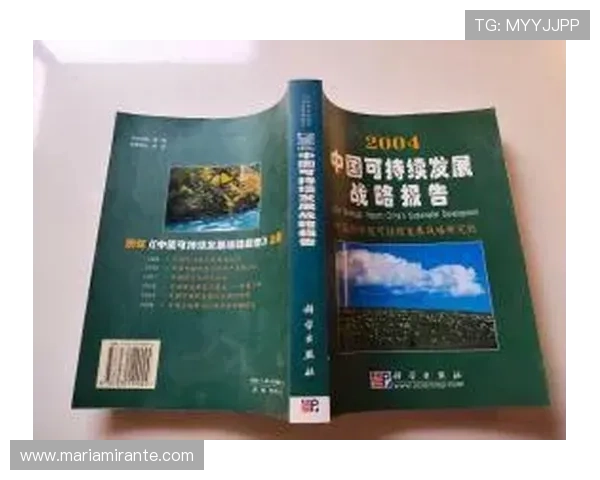 尊龙时凯中国集团人生官网：企业社会责任与可持续发展战略的全面介绍与实践经验