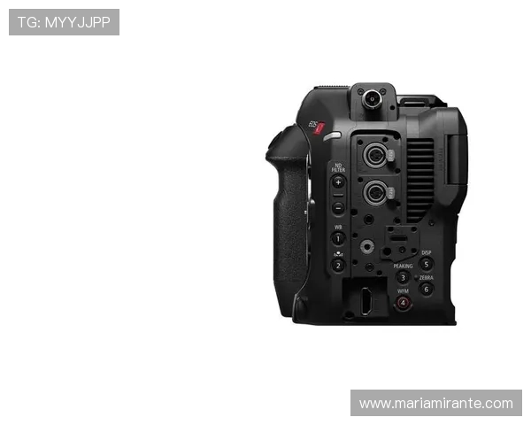 畅游z6尊龙旗舰厅官网入口，开启你的游戏激情之旅